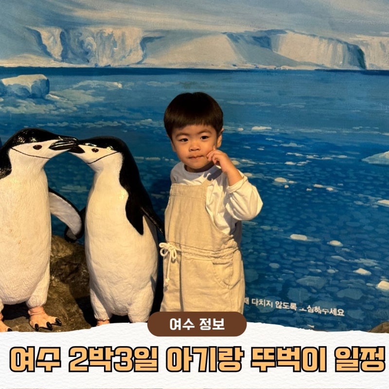 KTX 타고 떠난 여수 아기랑 2박 3일 뚜벅이 여행 코스 공유