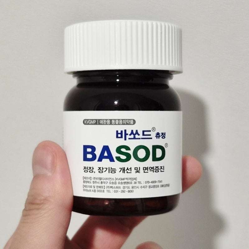 노묘 고양이 백내장 수술과 실명 | 신장 췌장 관리 바쏘드정 레날 어드밴스드 캡슐링 | 새로....