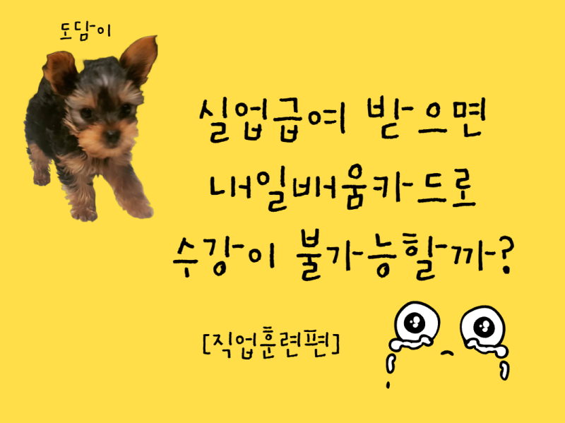 실업급여 받으면 내일배움카드로 수강이 불가능할까? 많은 분들이 오해하는 진실!