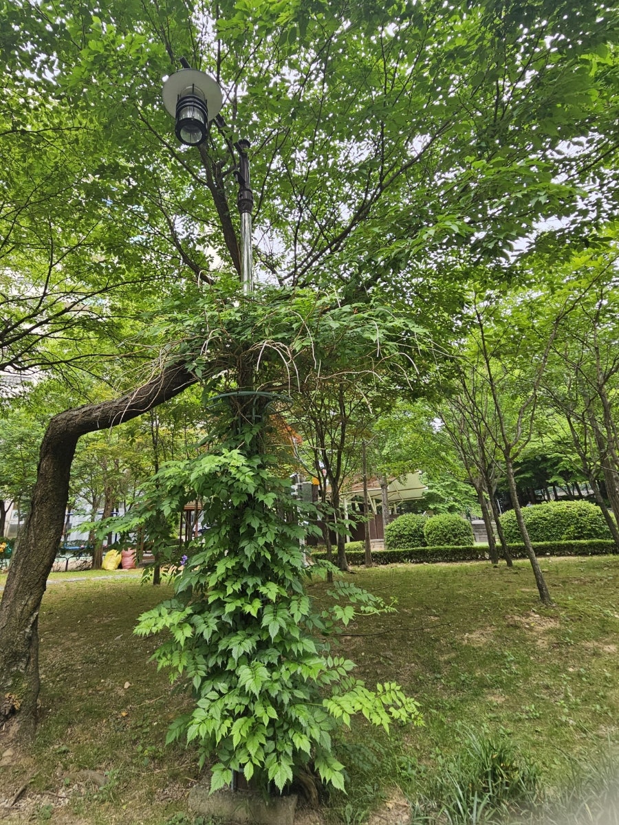 이명옥시골손두부 사진 3