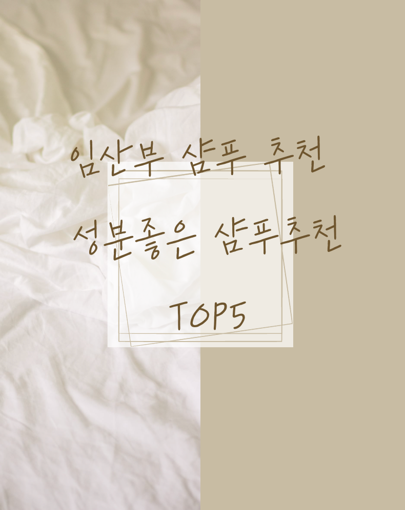 임산부샴푸추천_디렉터파이추천템_성분좋은샴푸추천_탈모샴푸추천_올영세일템