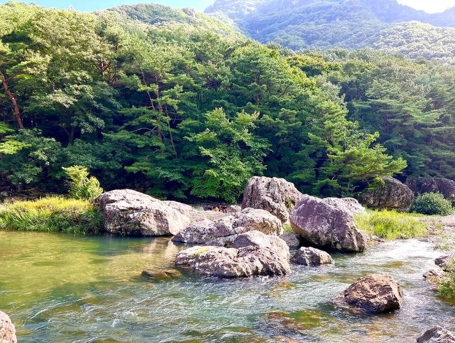 닥밭골 사진 4