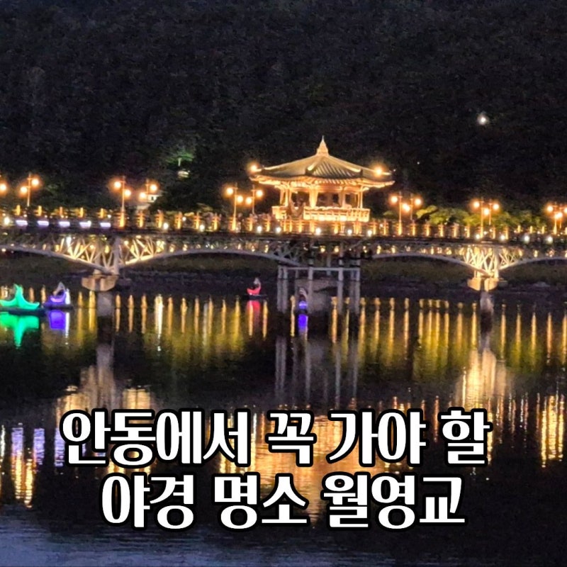 경북 안동 월영교 야경 명소 주차, 분수쇼 시간, 문보트까지 총정리