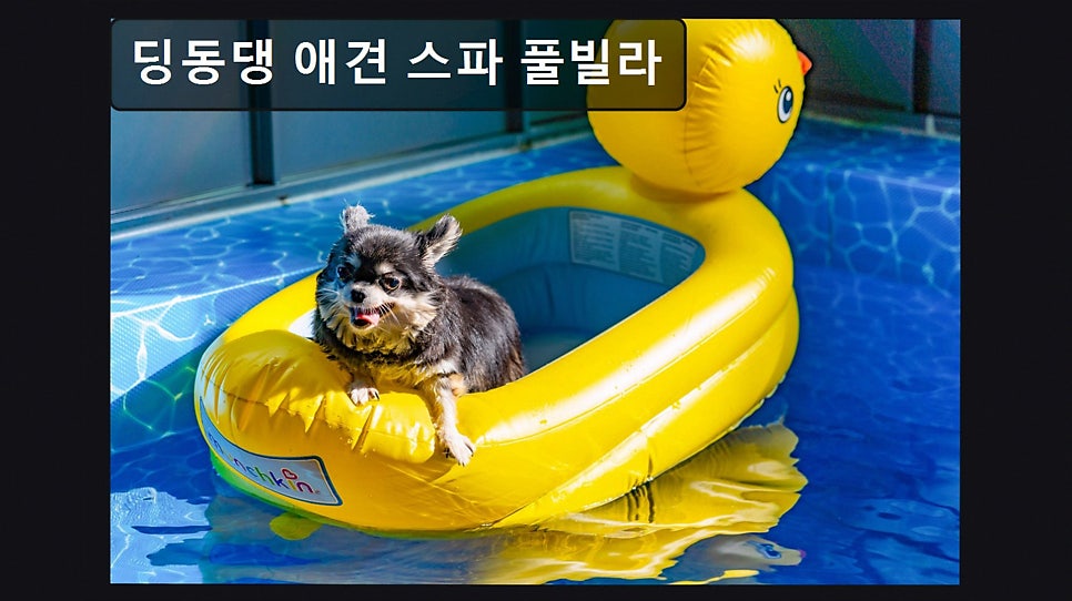 시크릿문펜션 사진 5