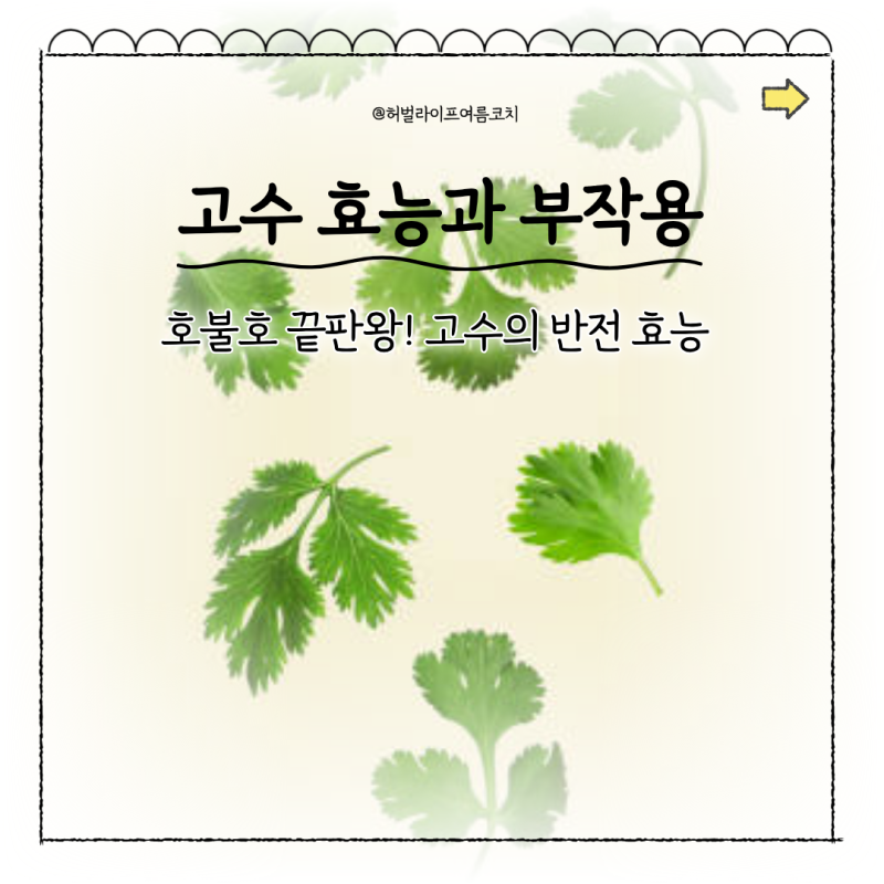 고수 효능과 부작용 | 호불호는 많지만 효능은 다양해요