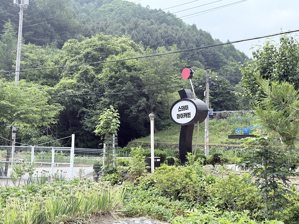 헤어그곳 사진 1