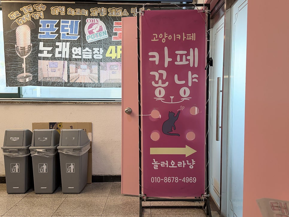 카페꽁냥 사진 2
