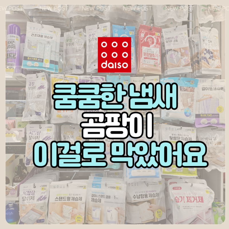 "진작 넣어둘 걸…" 옷장에서 나던 쿰쿰한 냄새 싹 사라지게 만든 다이소 제습제