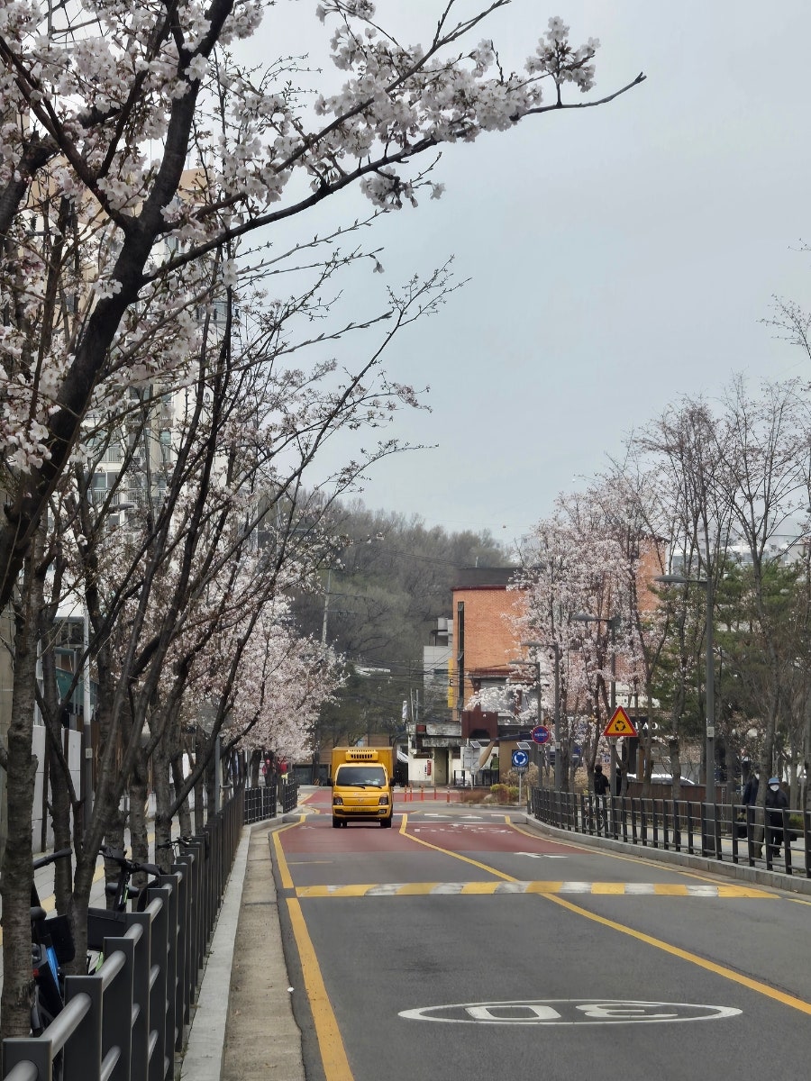바빠영 사진 4