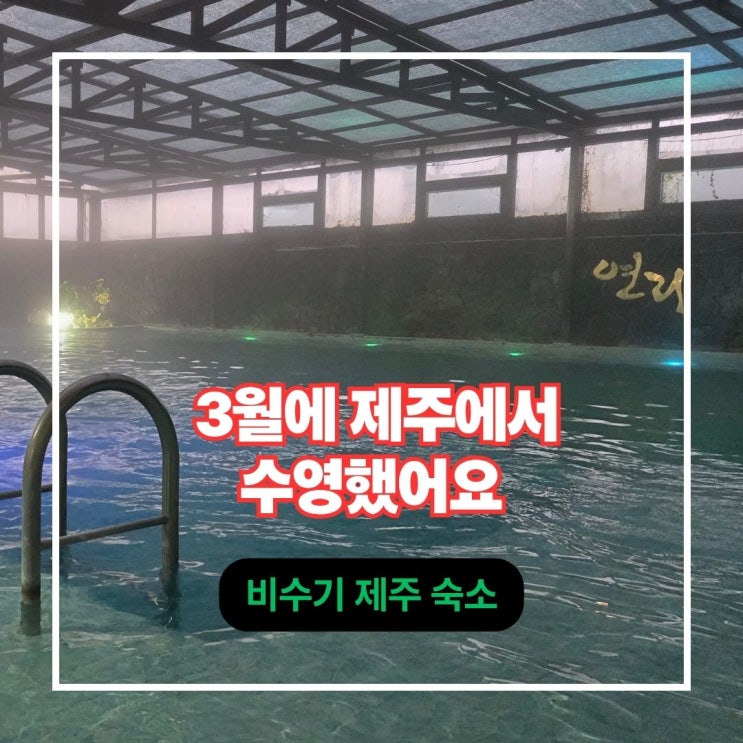  제주도 성산 감성 숙소 펜션연리 실내수영장 내돈내산 후기