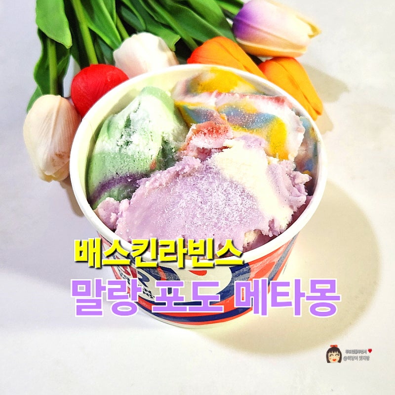 배스킨라빈스 말랑 포도 메타몽 베라 5월 이달의맛 후기