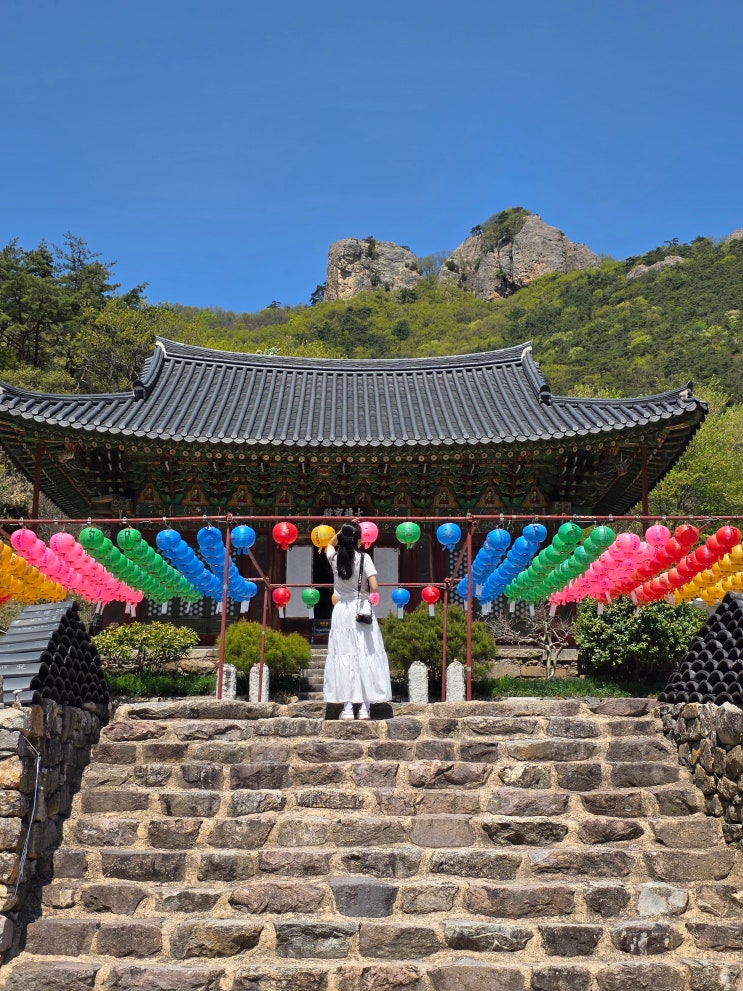 국내 조용한 여행지 반딧불이 볼수있는곳 부안 개암사 특별한 전북 여행