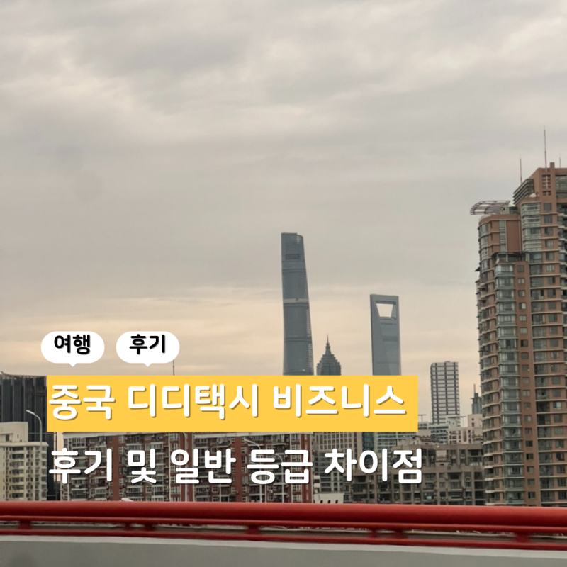 중국 상하이 여행 디디택시 비즈니스 등급 후기 및 일반 택시 차이점