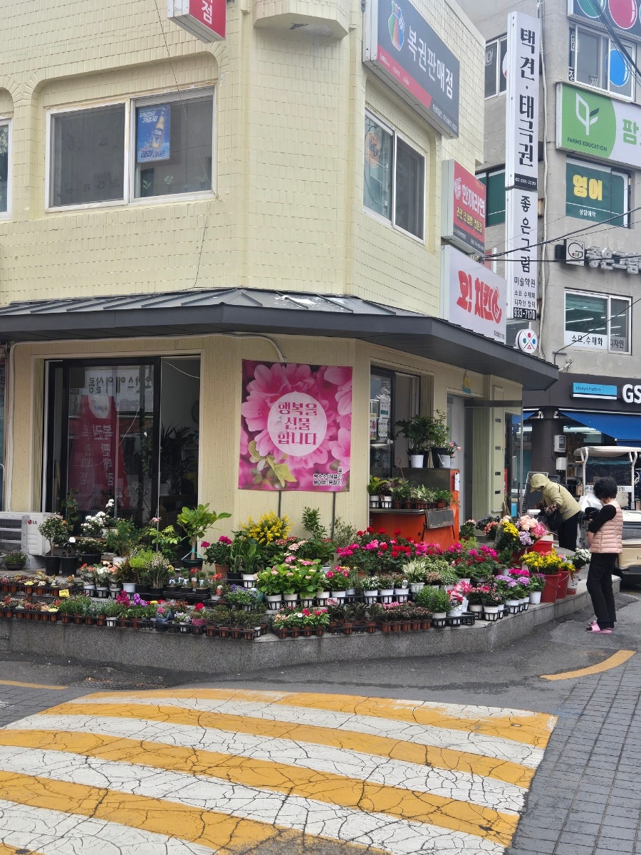 바빠영 사진 1