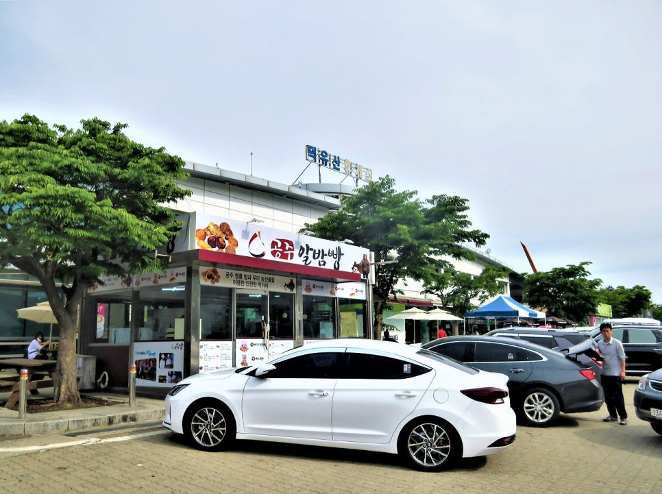 법화산 사진 6