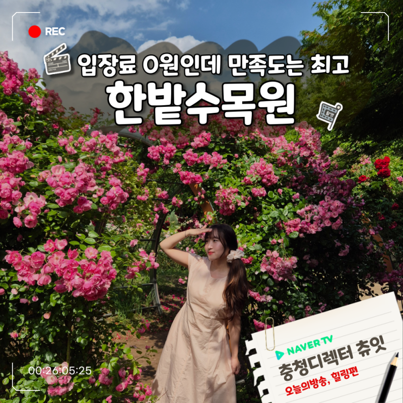 대전 장미꽃구경 한밭수목원 동원 서원 차이 나들이 가기 좋은 곳