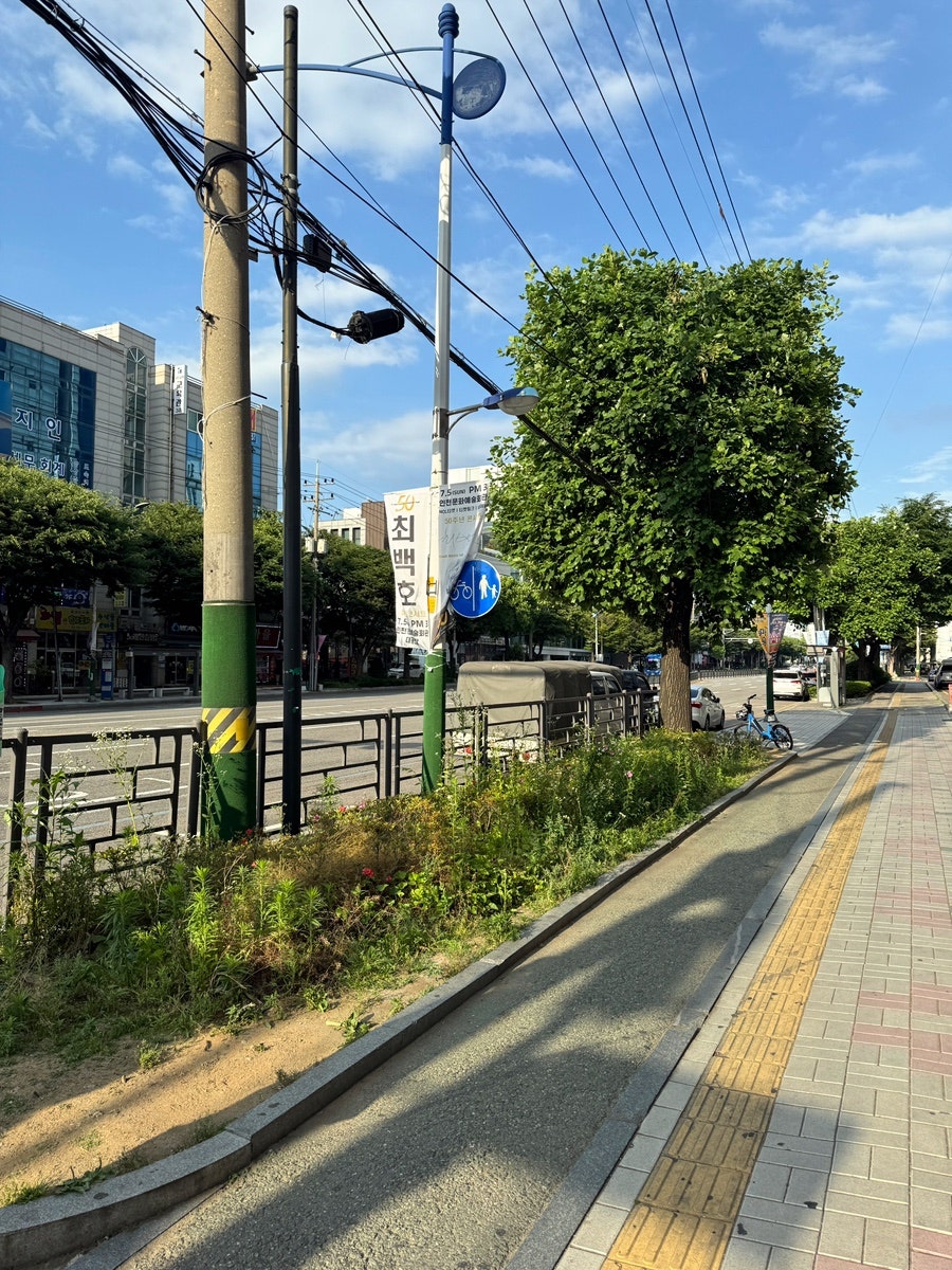 취화선 사진 1