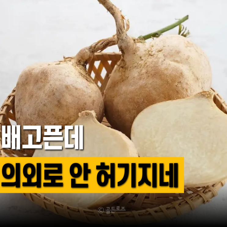 히카마 효능, 다이어트 중 배고플 때 찾는 이유 따로 있었네요