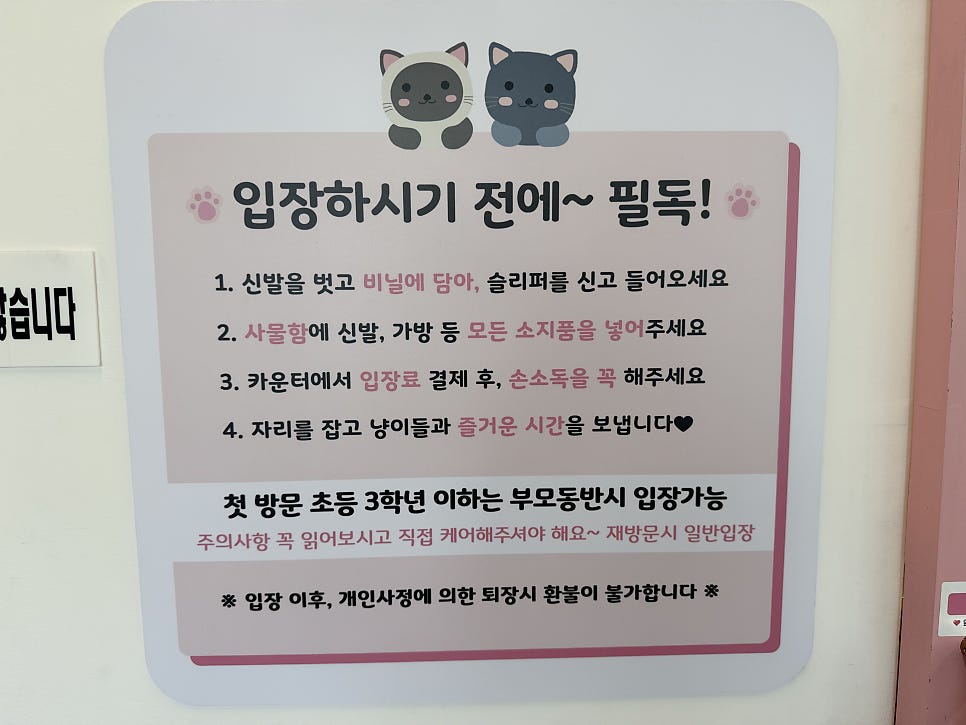 카페꽁냥 사진 3
