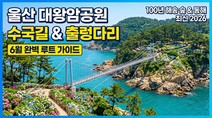  동해 바다와 100년 해송 숲, 6월 울산 대왕암공원 수국길과 출렁다리 완벽 동선 가이드 (2026년 최신)