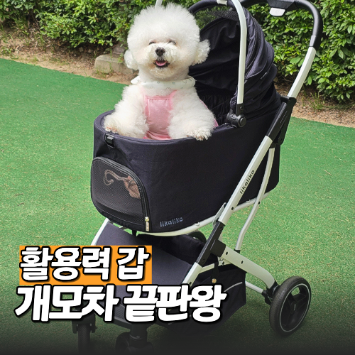 일체분리형 강아지 유모차 끝판왕, 리카리카 듀오플렉스 찐후기