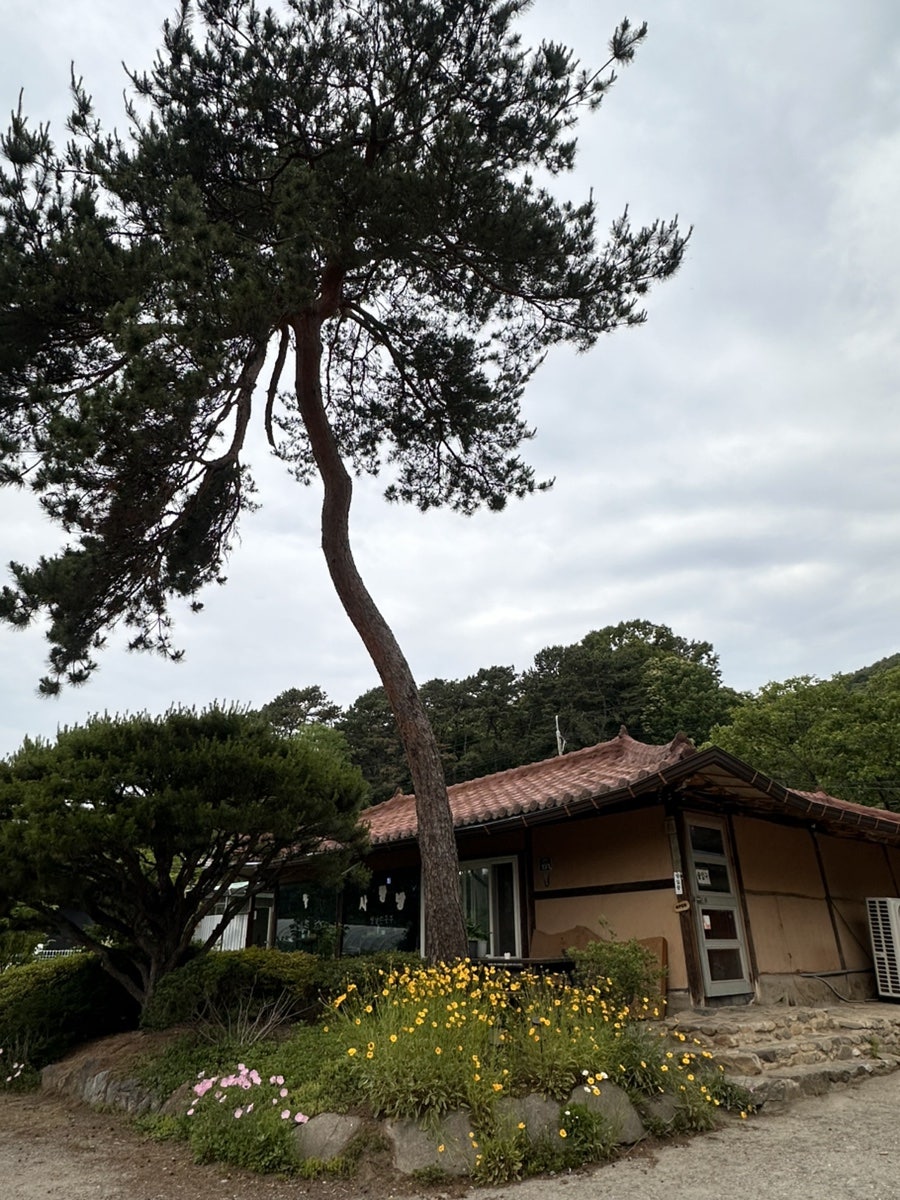 사랑방 사진 1
