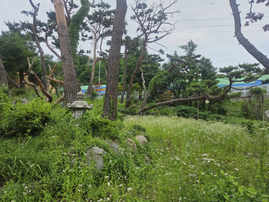 교산가마솥밥 한상 사진 3