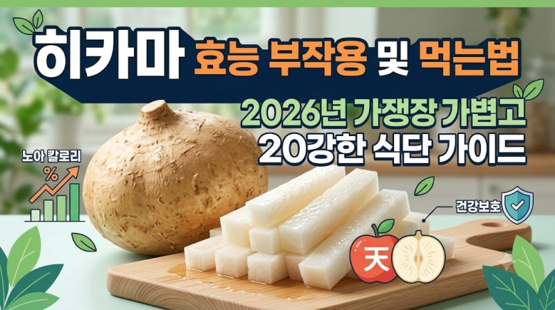 히카마 효능 부작용 및 먹는법, 2026년 건강한 다이어트를 위한 멕시코 감자 완벽 정리