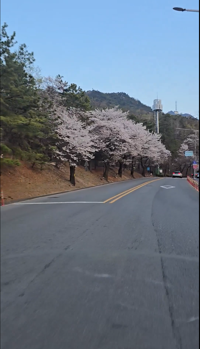 흑룡강 사진 1