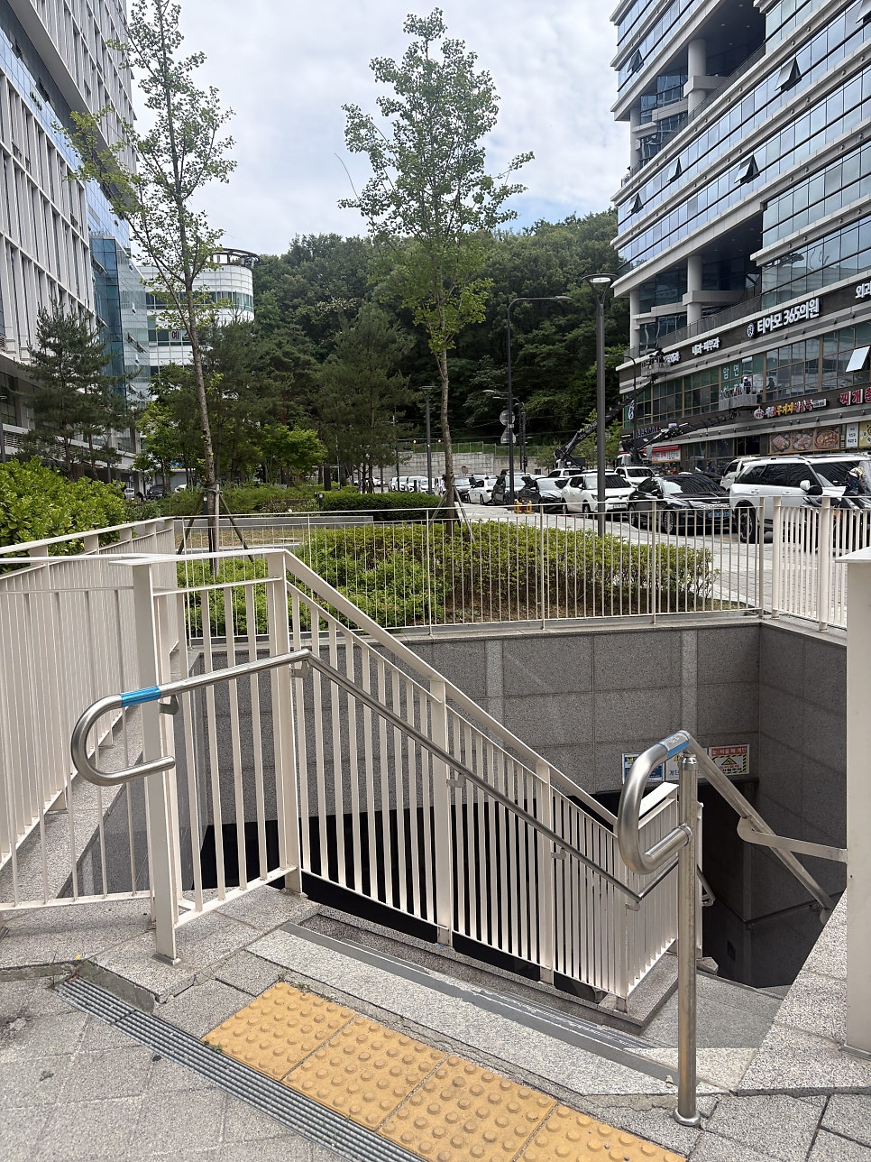 포키 사진 3