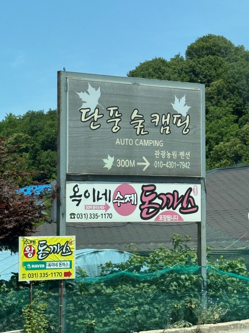 [Campsite Review] Yongin Danpungsup Campground (Giraffe, 06)