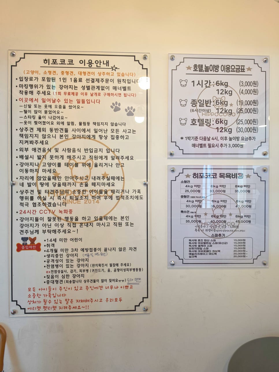 히포코코 사진 3