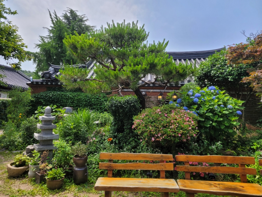 Yangbanga photo 4