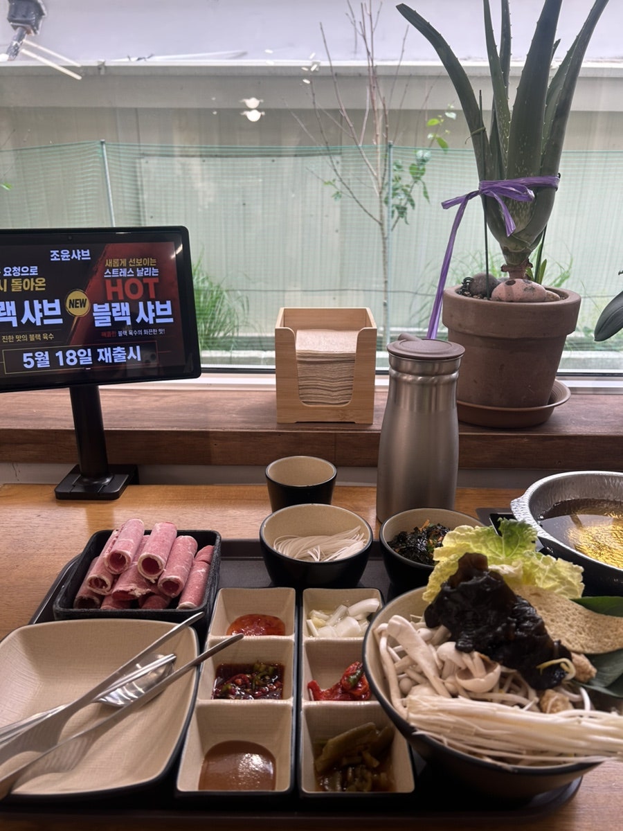 조윤샤브 사진 6