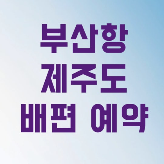 밤바다 타고 낭만 가득 부산항 제주도 배편 예약 및 운항 시간표 총정리