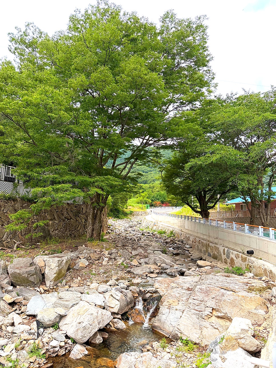 상촌계곡 사진 6