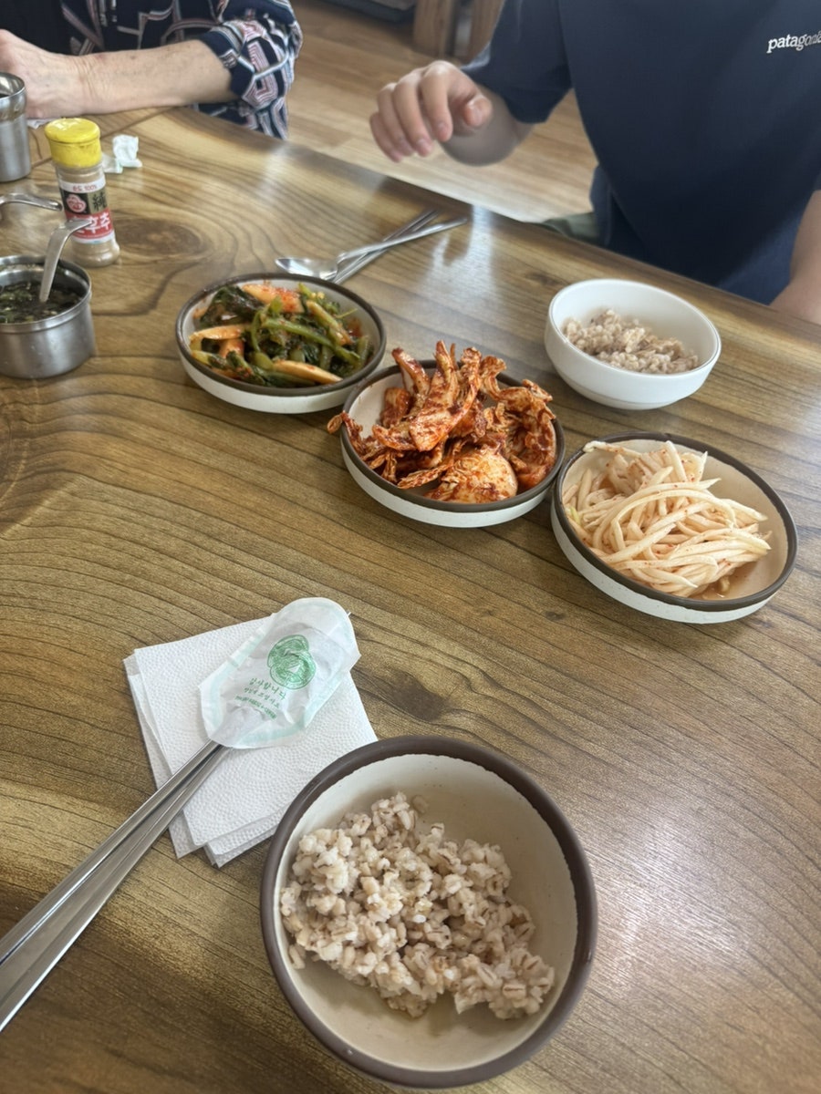 시골손칼국수 사진 5