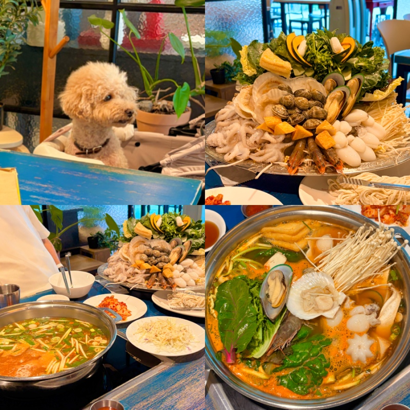 강릉샤브샤브 맛집 봉창이해물칼국수 애견동반 식당 찐맛집 발견!
