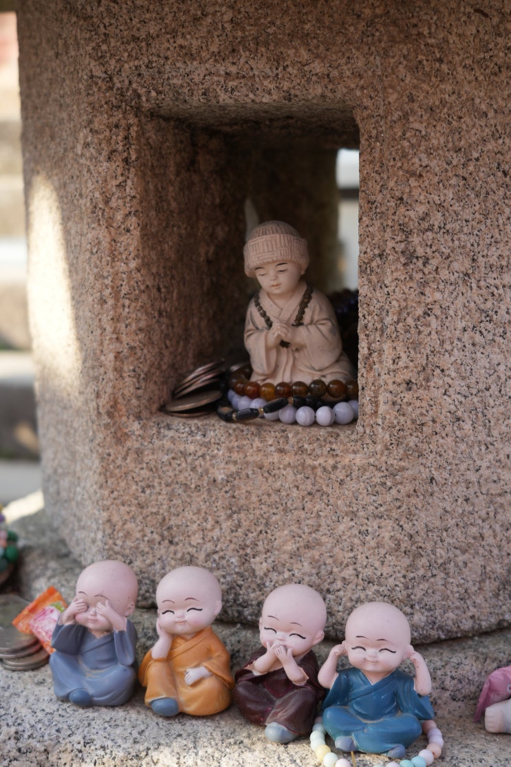 겹벚꽃이 유명한 서울근교 절 서산 문수사 여름 가볼만한 절