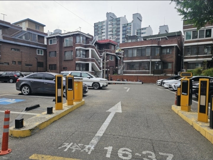 본노엘 사진 4