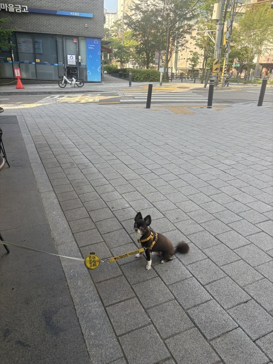 김기혁 남촌해물찜 사진 4