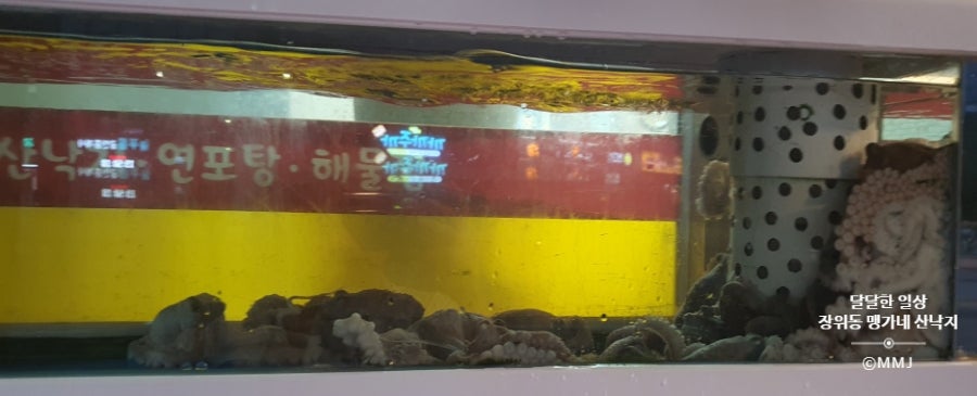 맹가네 사진 2