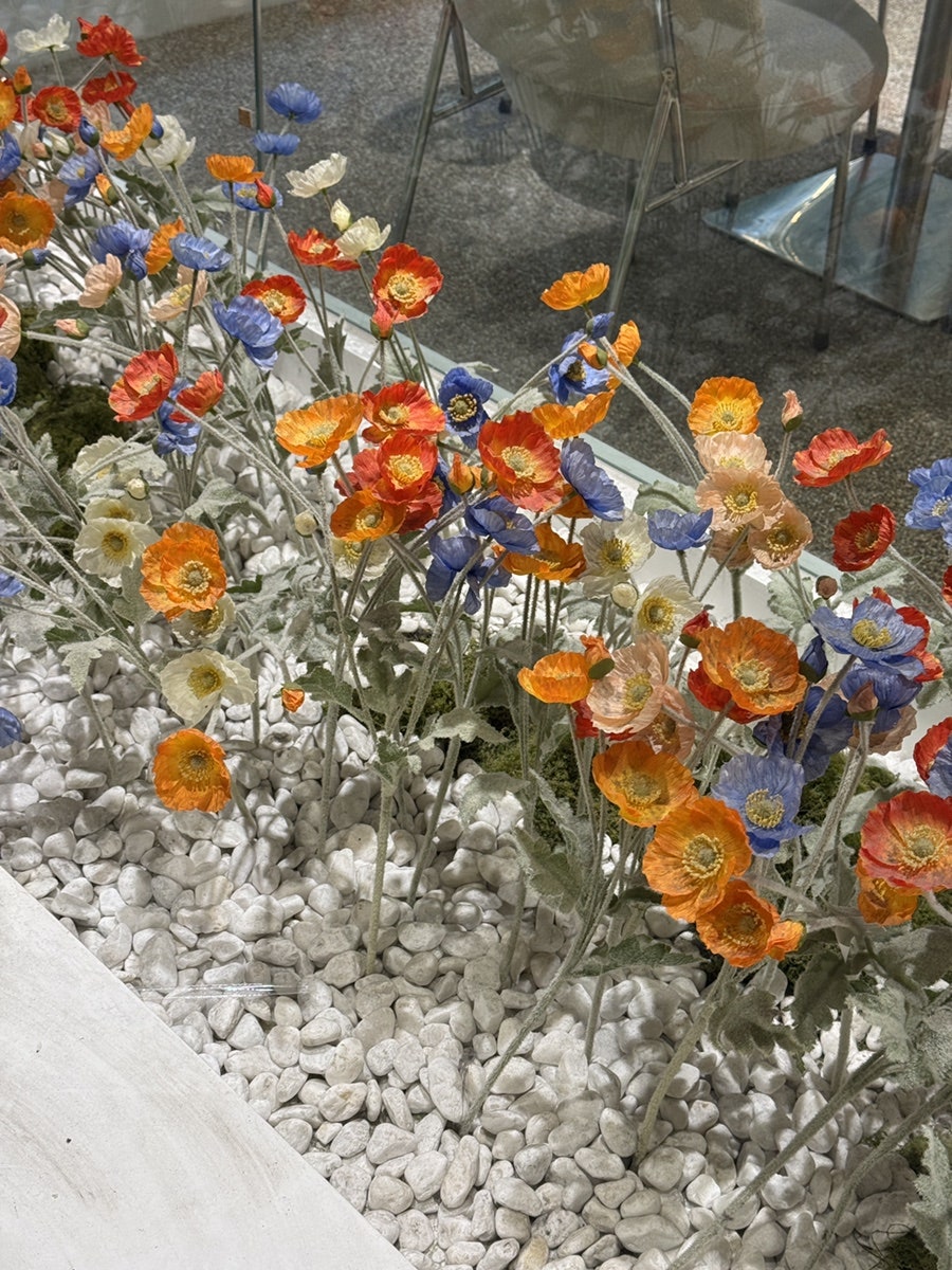 오슬로 사진 6