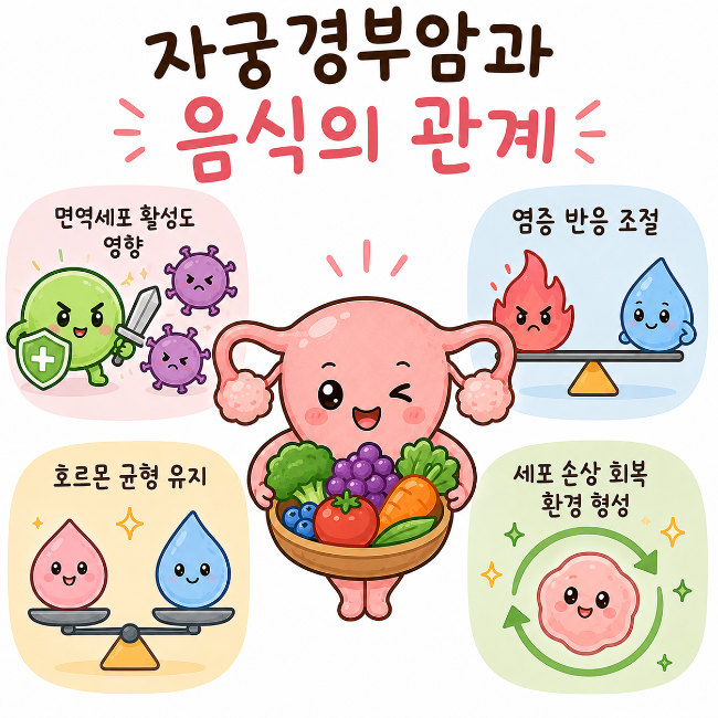 자궁경부암 예방에 좋은 음식과 나쁜 음식 총정리 (면역력 중심 식단 관리)