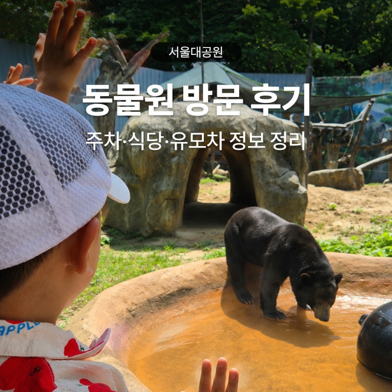과천 서울대공원 동물원 꿀팁, 주차부터 유모차 대여까지 총정리