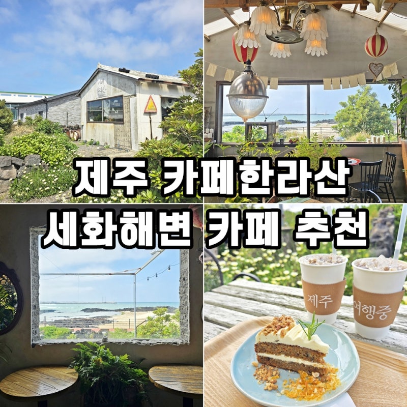 제주 세화해수욕장 해변 카페 한라산 제주도 구좌읍 가볼만한곳