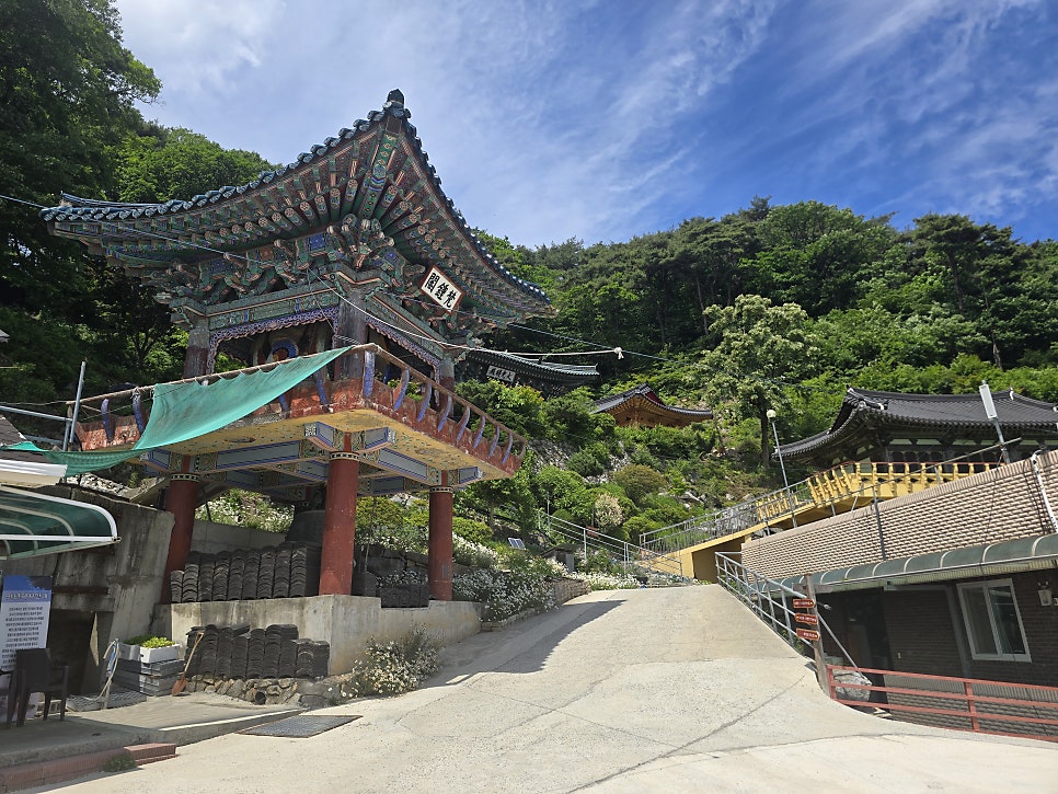 송학산 사진 4