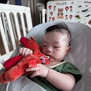 태기스 러비 말띠 아기 애착 인형 말 인형 내돈내산 후기입니당(임신, 출산 선물 강력추천)