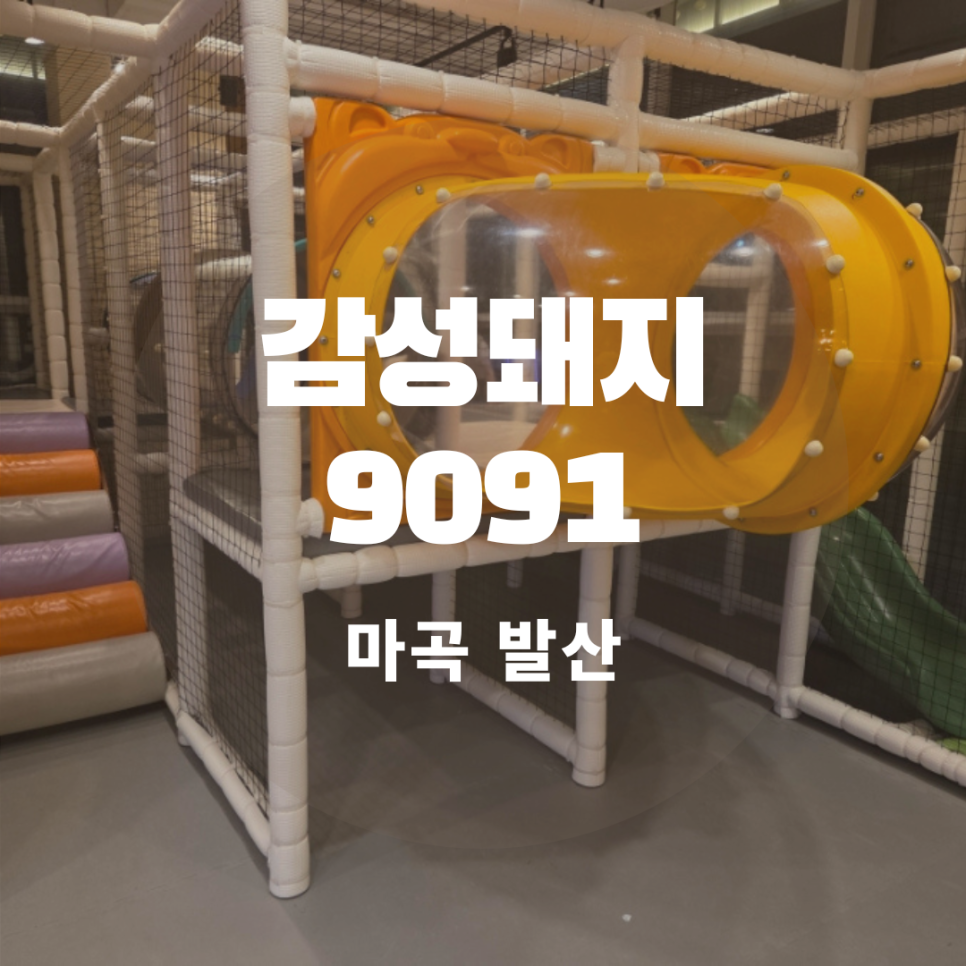 감성9091돼지 강서직영점 사진 1