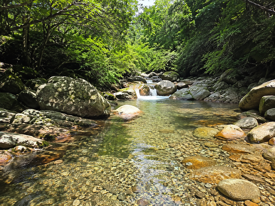 산골유원지 사진 2